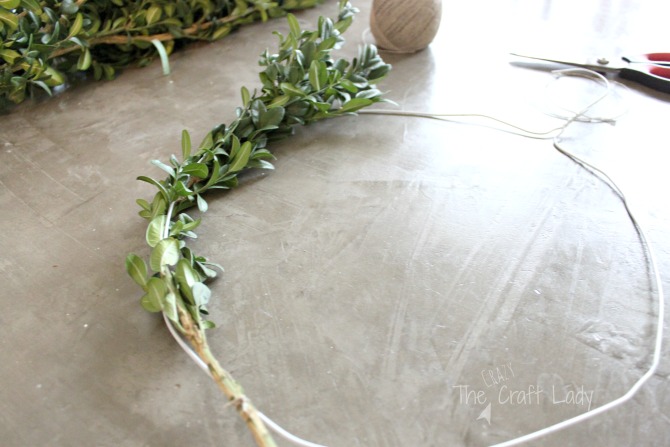 wire hanger wreath form boxwood wreaths