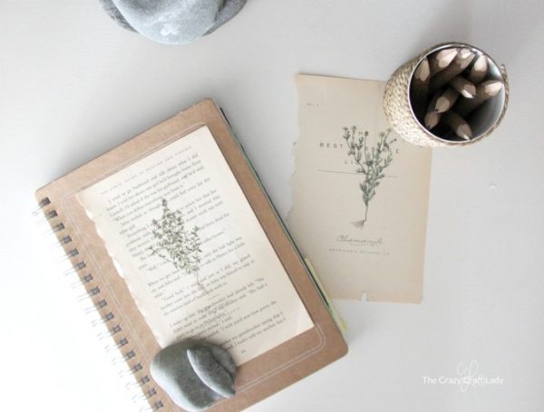 Ultimate Free Botanical Prints Guide - The Crazy Craft Lady