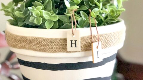 Easy Dollar Store Planter Makeover - The Crazy Craft Lady