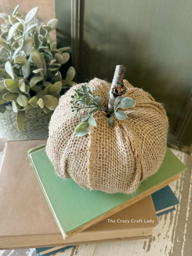 No Carve Pumpkin Ideas - The Crazy Craft Lady