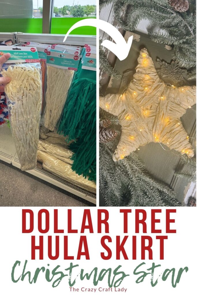 Dollar Tree Hula Skirt Christmas Star