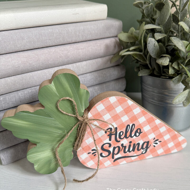 DIY wooden carrot shelf sitter with orange and white check pattern