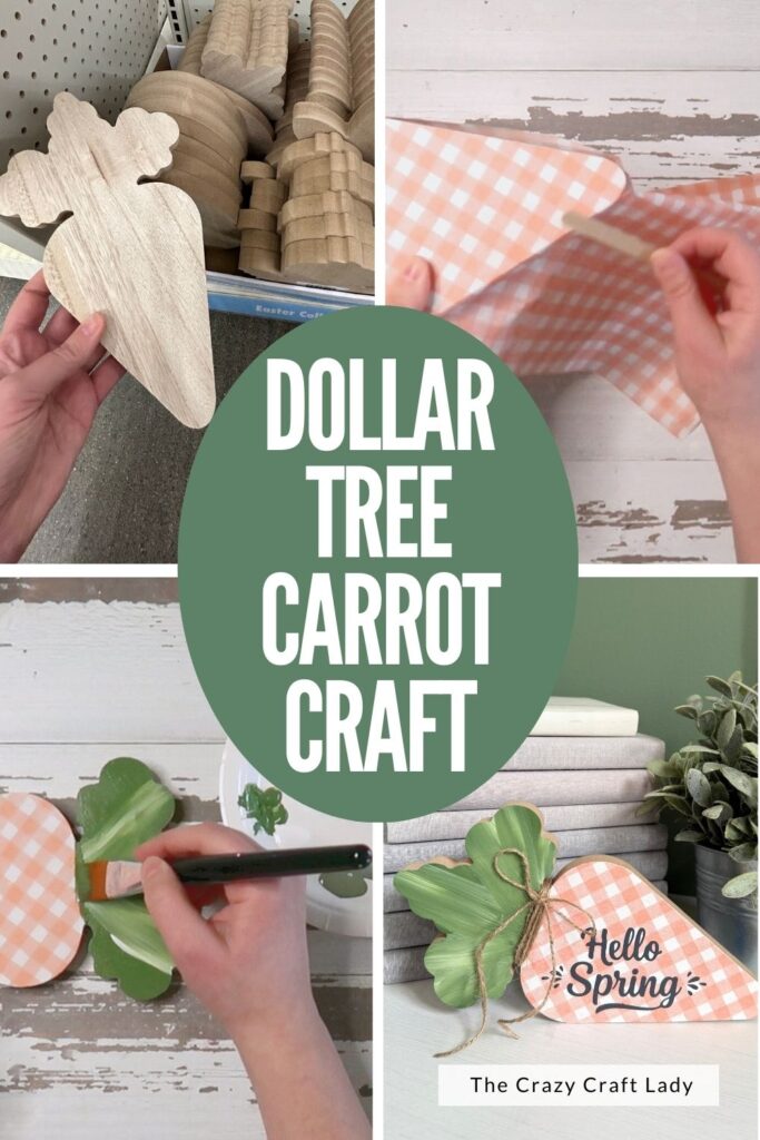 Dollar Tree Carrot Craft