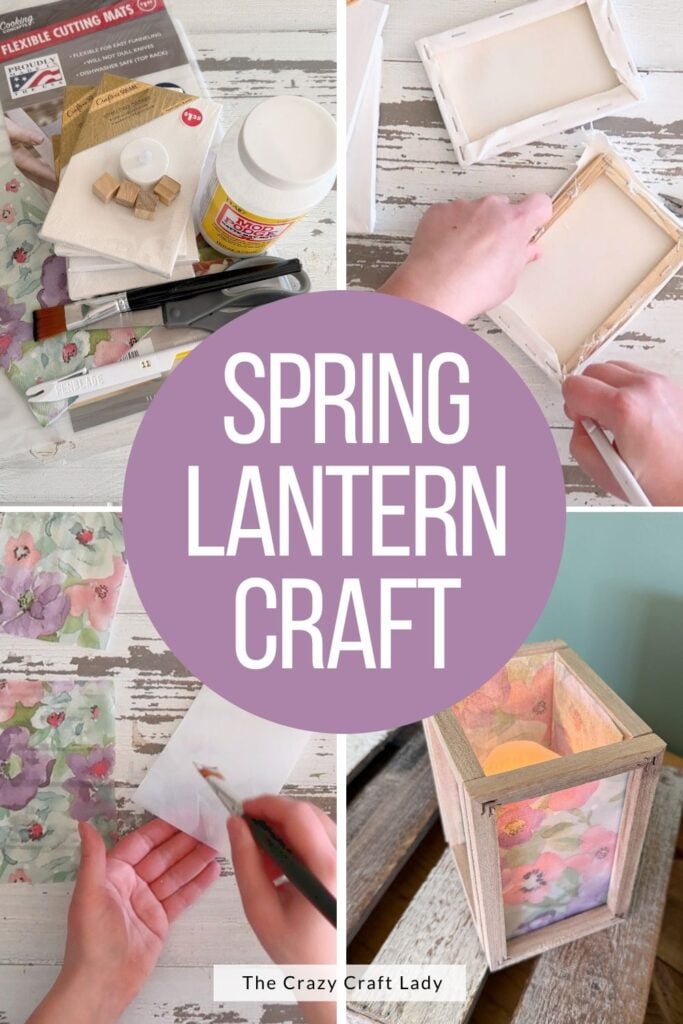 Spring Lantern Craft