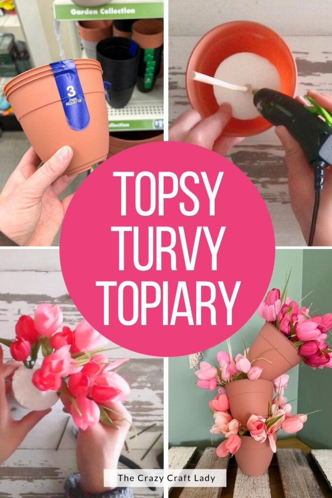 Topsy Turvy Topiary