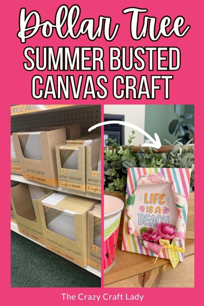 Dollar Tree Summer Busted Canvas Craft