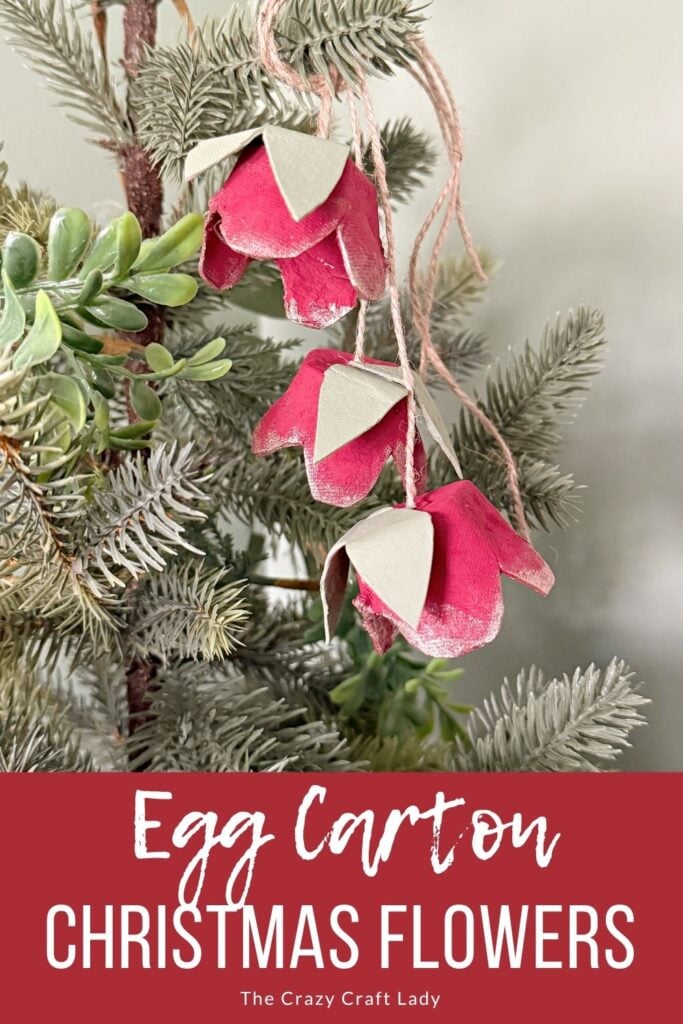 Eierdoos Kerst Poinsettia Bloemen