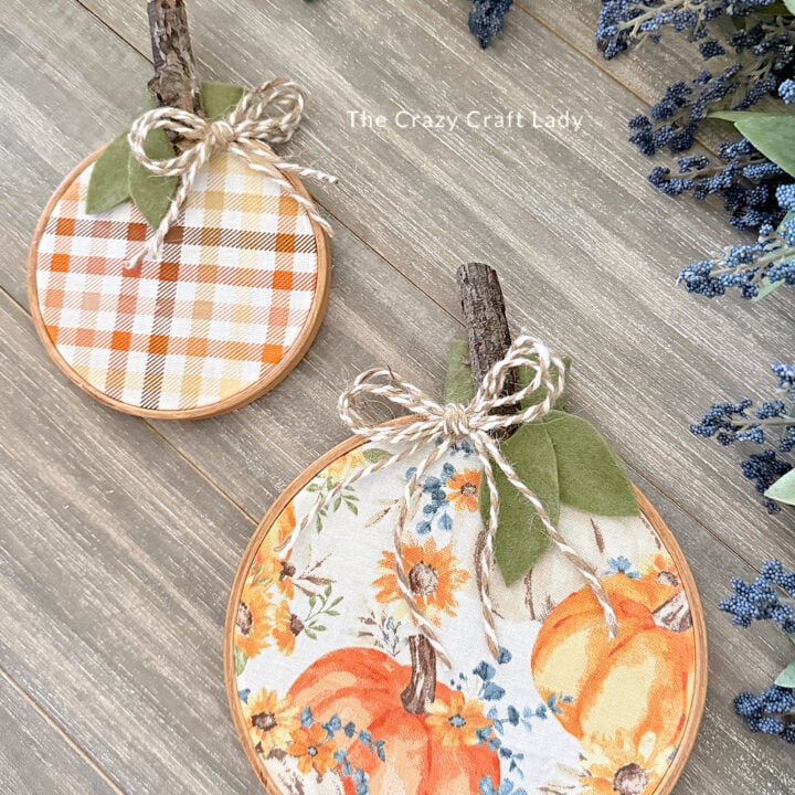 Dollar Store Fabric Embroidery Hoop Pumpkin Craft