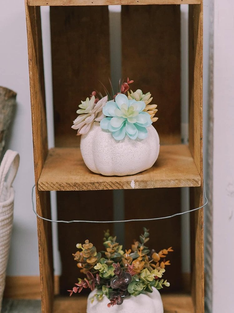 Stone texture Dollar Tree foam pumpkin filled with faux succulents